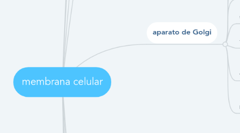 Mind Map: membrana celular