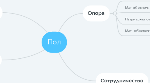 Mind Map: Пол