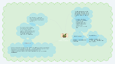 Mind Map: ecología  y  medio ambiente