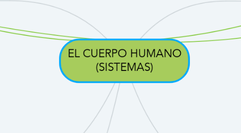 Mind Map: EL CUERPO HUMANO (SISTEMAS)