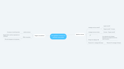 Mind Map: Les système nerveux et activité musculaire