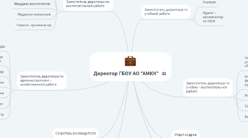 Mind Map: Директор ГБОУ АО "АМКК"