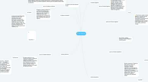 Mind Map: los sistemas