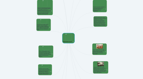 Mind Map: Nabukodonosor II