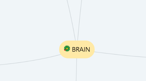 Mind Map: BRAIN