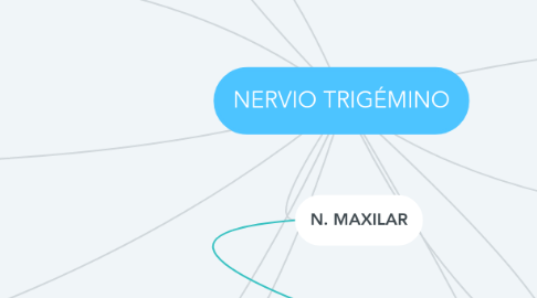 Mind Map: NERVIO TRIGÉMINO