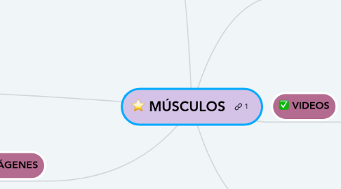 Mind Map: MÚSCULOS