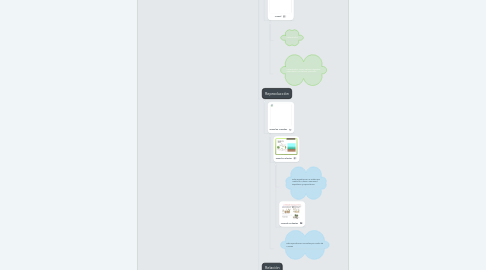 Mind Map: Los seres vivos