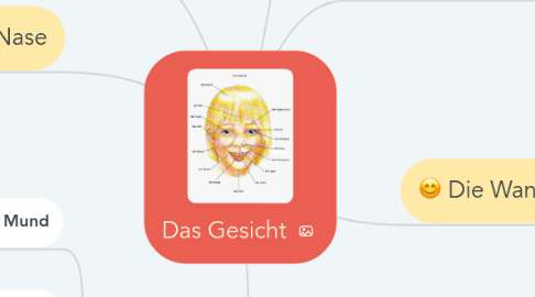 Mind Map: Das Gesicht