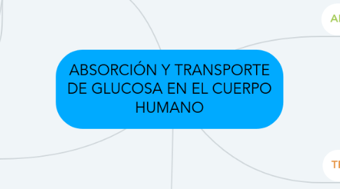 Mind Map: ABSORCIÓN Y TRANSPORTE DE GLUCOSA EN EL CUERPO HUMANO