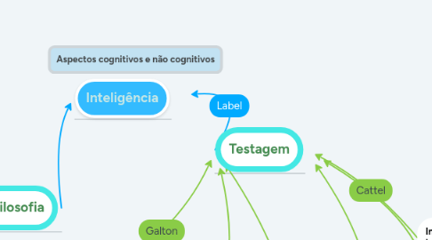 Mind Map: Aspectos cognitivos e não cognitivos