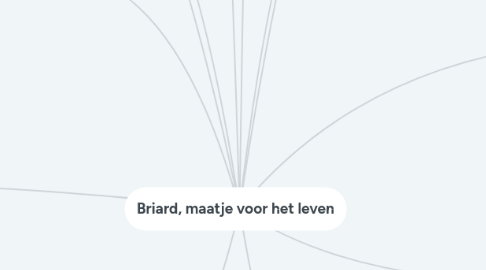 Mind Map: Briard, maatje voor het leven