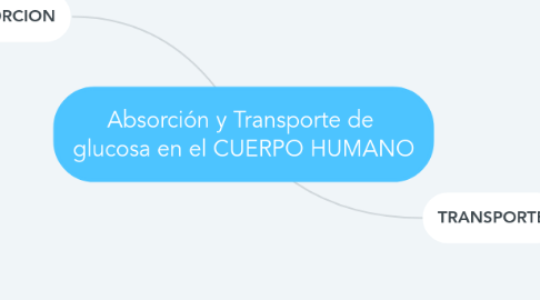 Mind Map: Absorción y Transporte de glucosa en el CUERPO HUMANO
