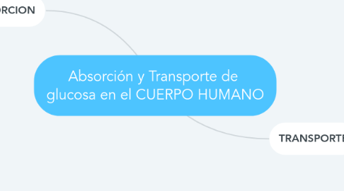 Mind Map: Absorción y Transporte de  glucosa en el CUERPO HUMANO