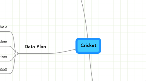 Mind Map: Cricket