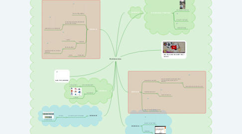 Mind Map: Evidence two.