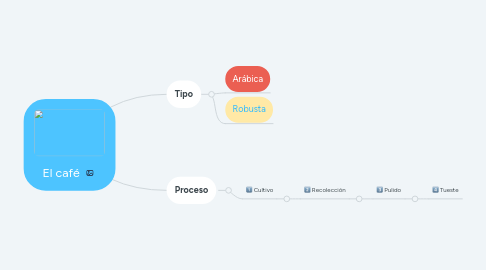 Mind Map: El café