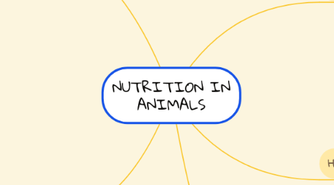 Mind Map: NUTRITION IN ANIMALS