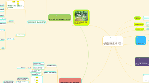 Mind Map: MODIFICAZIONE ELEMENTI DEL RAPPORTO OBBLIGATOR