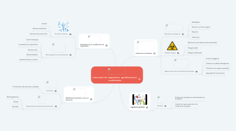 Mind Map: Liberación de organismos genéticamente modificados