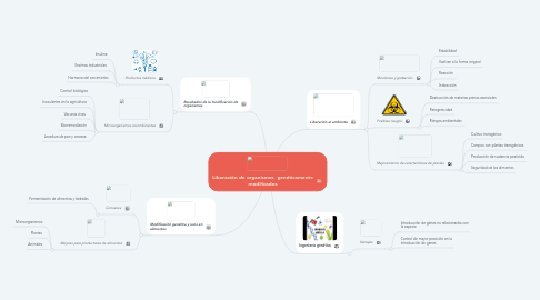 Mind Map: Liberación de organismos  genéticamente modificados