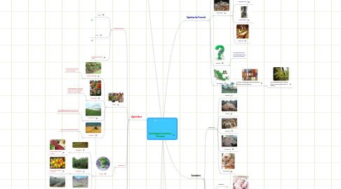 Mind Map: Actividades Económicas Primarias