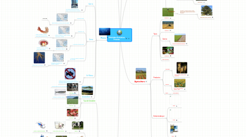 Mind Map: Actividades Economicas Primarias