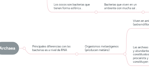 Mind Map: Dominios