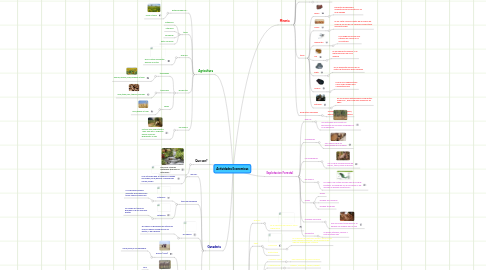 Mind Map: Actividades Economicas