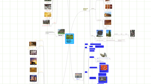 Mind Map: Actividad Economica Primaria