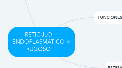 Mind Map: RETICULO ENDOPLASMATICO RUGOSO