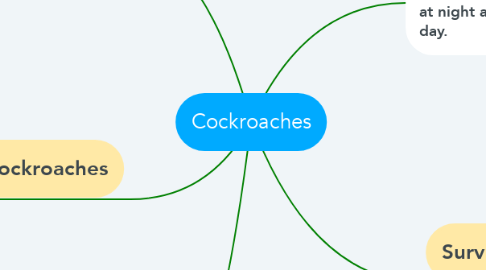 Mind Map: Cockroaches