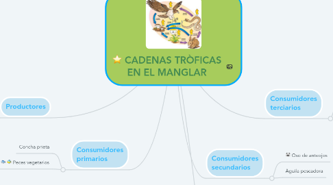 Mind Map: CADENAS TRÒFICAS EN EL MANGLAR