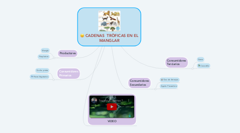 Mind Map: CADENAS  TRÒFICAS EN EL MANGLAR