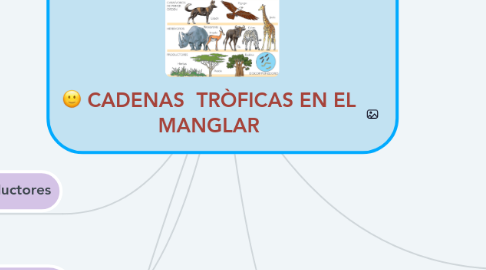 Mind Map: CADENAS  TRÒFICAS EN EL MANGLAR