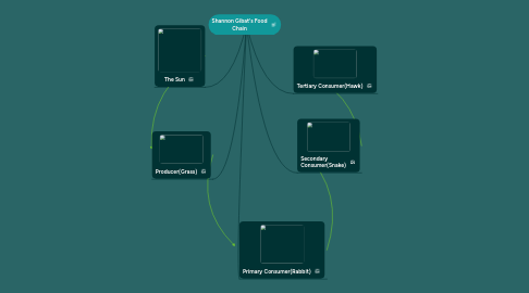 Mind Map: Shannon Gibat's Food Chain