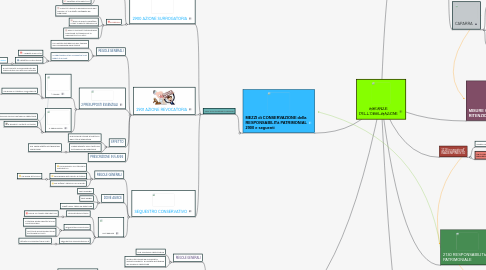 Mind Map: GARANZIE DELL'OBBLIGAZIONE