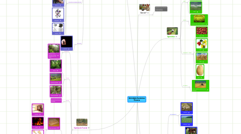 Mind Map: Actividades Económicas Primarias