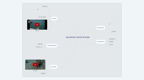 Mind Map: ΘΑΛΆΣΣΙΟ ΟΙΚΟΣΎΣΤΗΜΑ