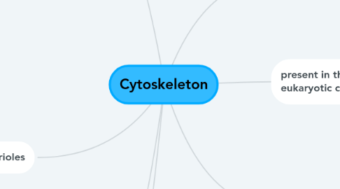 Mind Map: Cytoskeleton