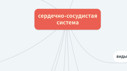 Mind Map: сердечно-сосудистая система