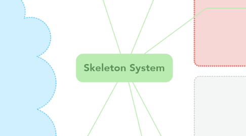 Mind Map: Skeleton System