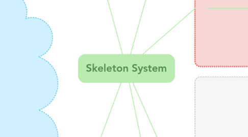 Mind Map: Skeleton System