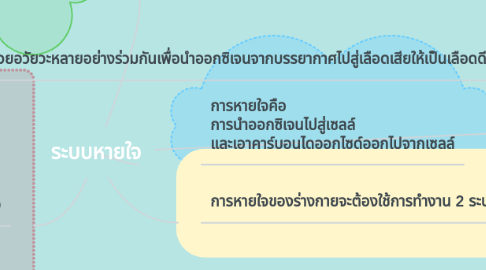 Mind Map: ระบบหายใจ