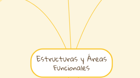 Mind Map: Estructuras y Áreas Funcionales