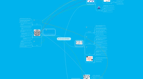Mind Map: Dimenciones de Redes