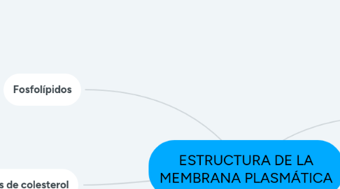 Mind Map: ESTRUCTURA DE LA MEMBRANA PLASMÁTICA