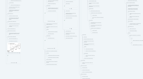 Mind Map: Memoria