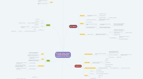 Mind Map: The Youth Justice system: Institutions/ Agencies/ Legislation & Key Themes