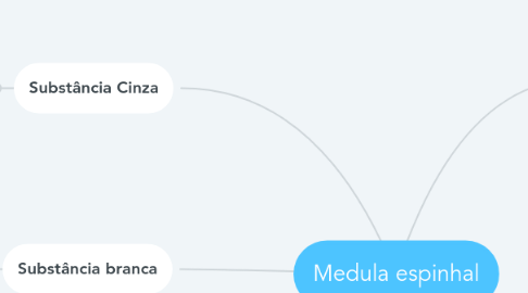 Mind Map: Medula espinhal